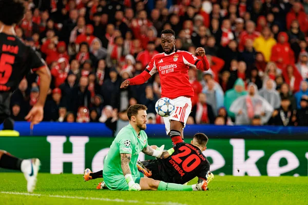 Mark Flekken, Alejandro Grimaldo ve Dodi Lukebakio SL Benfica ve Bayer 04 Leverkusen (Maciej Rogowski / Ball Raw Images) arasındaki Şampiyonlar Ligi faz maçında görüldü.)
