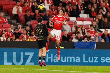 Gaizka Larrazabal ve Joao Rego, Liga Portekiz maçında SL Benfica ve Casa Pia AC (Maciej Rogowski / Ball Raw Images) arasında görüldü.)