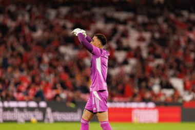 Patrick Sequeira Liga Portekiz maçında SL Benfica ve Casa Pia AC (Maciej Rogowski / Ball Raw Images) arasında görüldü)