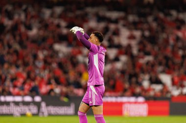 Patrick Sequeira Liga Portekiz maçında SL Benfica ve Casa Pia AC (Maciej Rogowski / Ball Raw Images) arasında görüldü)