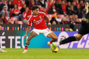 Richard Rios Liga Portekiz maçı sırasında SL Benfica ve Casa Pia AC (Maciej Rogowski / Ball Raw Images) arasında görüldü)