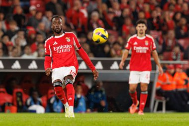 Liga Portekiz maçında SL Benfica ve Casa Pia AC (Maciej Rogowski / Ball Raw Images) arasında görülen Dodi Lukebakio)