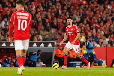 Tomas Araujo, Liga Portekiz maçında SL Benfica ve Casa Pia AC (Maciej Rogowski / Ball Raw Images) arasında görüldü)