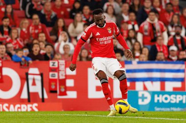 Liga Portekiz maçında SL Benfica ve Casa Pia AC (Maciej Rogowski / Ball Raw Images) arasında görülen Dodi Lukebakio)