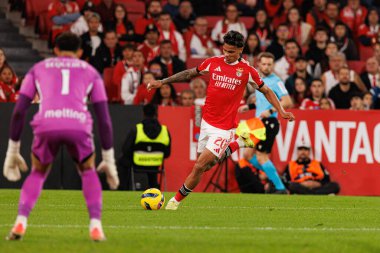 Richard Rios Liga Portekiz maçı sırasında SL Benfica ve Casa Pia AC (Maciej Rogowski / Ball Raw Images) arasında görüldü)