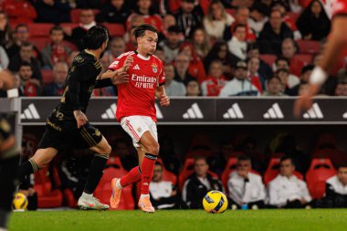 Amar Dediç, SL Benfica ile Casa Pia AC (Maciej Rogowski / Ball Raw Images) arasında oynanan Liga Portekiz maçı sırasında görüldü.)