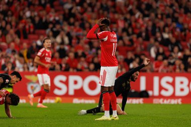 Liga Portekiz maçında SL Benfica ve Casa Pia AC (Maciej Rogowski / Ball Raw Images) arasında görülen Dodi Lukebakio)