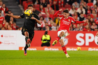 SL Benfica ve Casa Pia AC (Maciej Rogowski / Ball Raw Images) arasında oynanan Liga Portekiz maçında David Sousa ve Georgiy Sudakov görüldü.)