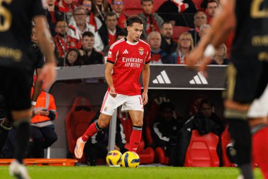 Amar Dediç, SL Benfica ile Casa Pia AC (Maciej Rogowski / Ball Raw Images) arasında oynanan Liga Portekiz maçı sırasında görüldü.)