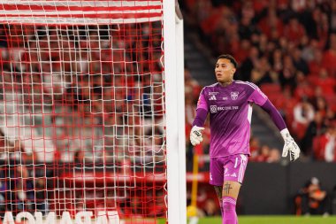 Patrick Sequeira Liga Portekiz maçında SL Benfica ve Casa Pia AC (Maciej Rogowski / Ball Raw Images) arasında görüldü)