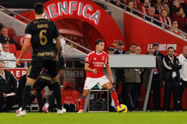 Amar Dediç, SL Benfica ile Casa Pia AC (Maciej Rogowski / Ball Raw Images) arasında oynanan Liga Portekiz maçı sırasında görüldü.)