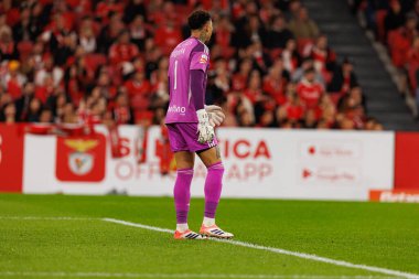 Patrick Sequeira Liga Portekiz maçında SL Benfica ve Casa Pia AC (Maciej Rogowski / Ball Raw Images) arasında görüldü)