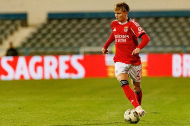 Andreas Schjlederup Taca De Portugal maçında Atletico CP ve SL Benfica takımları arasında görüldü (Maciej Rogowski / Ball Raw Images)