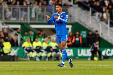 Elche, İspanya - 11 23 23 2025: Jude Bellingham, Elche CF ve Real Madrid FC takımları arasında oynanan LaLiga EA Spor maçında gol attıktan sonra kutlama yaparken görüldü 