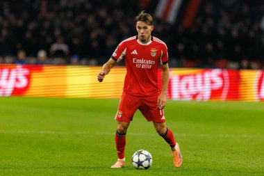 Amar Dediç, AFC Ajax ve SL Benfica (Maciej Rogowski / Ball Raw Images) arasında Şampiyonlar Ligi faz oyunu sırasında görüldü)