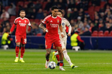 Richard Rios, AFC Ajax ve SL Benfica (Maciej Rogowski / Ball Raw Images) arasında Şampiyonlar Ligi faz oyunu sırasında görüldü)