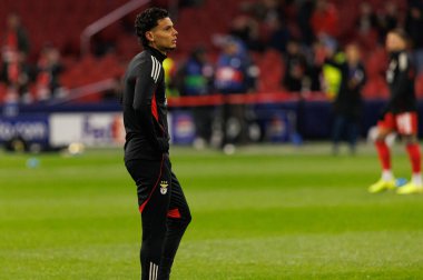 Richard Rios, AFC Ajax ve SL Benfica (Maciej Rogowski / Ball Raw Images) arasında Şampiyonlar Ligi faz oyunu sırasında görüldü)