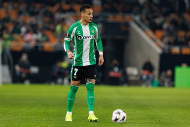 UEFA Avrupa Ligi maçında Real Betis Balompie ve FC Utrecht (Maciej Rogowski / Ball Raw Images) takımları arasında görüldü.)