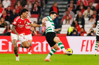 Richard Rios ve Pedro Goncalf Liga Portekiz maçı sırasında SL Benfica ve Sporting CP (Maciej Rogowski / Ball Raw Images)