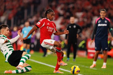 Ivan Fresneda ve Leandro Barreiro, Liga Portekiz maçı sırasında SL Benfica ve Sporting CP (Maciej Rogowski / Ball Raw Images) arasında görüldü.)