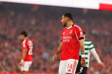 SL Benfica ve Sporting CP (Maciej Rogowski / Ball Raw Images) arasında oynanan Liga Portekiz maçında Vangelis Pavlidis görüldü)
