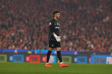 SL Benfica ve Sporting CP (Maciej Rogowski / Ball Raw Images) arasındaki Liga Portekiz maçı sırasında Rui Silva görüldü)