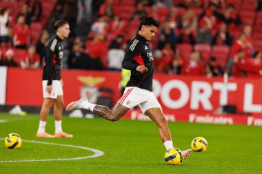 Richard Rios Liga Portekiz maçı sırasında SL Benfica ve Sporting CP (Maciej Rogowski / Ball Raw Images) arasında görüldü)