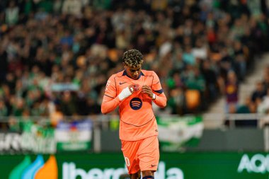 Lamine Yamal, Real Betis Balompie ve FC Barcelona (Maciej Rogowski / Ball Raw Images) takımları arasındaki LaLiga EA Sports maçında gol attıktan sonra kutlama yaparken görüldü.)