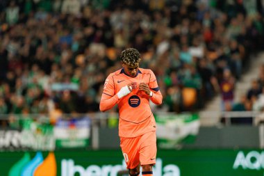 Lamine Yamal, Real Betis Balompie ve FC Barcelona (Maciej Rogowski / Ball Raw Images) takımları arasındaki LaLiga EA Sports maçında gol attıktan sonra kutlama yaparken görüldü.)