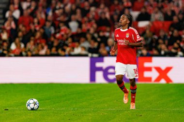 Leandro Barreiro Şampiyonlar Ligi faz maçında SL Benfica ve SSC Napoli (Maciej Rogowski / Ball Raw Images) arasında görüldü)