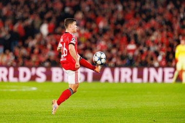 Samuel Dahl SL Benfica ve SSC Napoli (Maciej Rogowski / Ball Raw Images) arasında Şampiyonlar Ligi faz maçında görüldü)