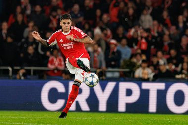 Enzo Barrenechea SL Benfica ve SSC Napoli (Maciej Rogowski / Ball Raw Images) arasındaki Şampiyonlar Ligi faz maçında görüldü)