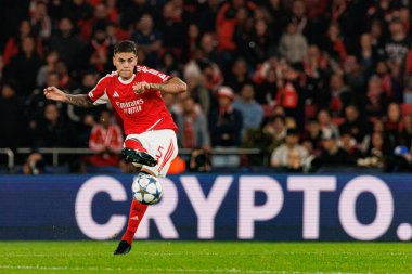 Enzo Barrenechea SL Benfica ve SSC Napoli (Maciej Rogowski / Ball Raw Images) arasındaki Şampiyonlar Ligi faz maçında görüldü)