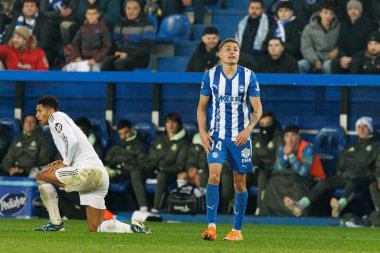Nahuel Tenaglia, LaLiga EA SPORTS maçı sırasında Mendizorroza 'da Deportivo Alaves ve Real Madrid FC takımları arasında görüldü (Maciej Rogowski / Ball Raw Images)