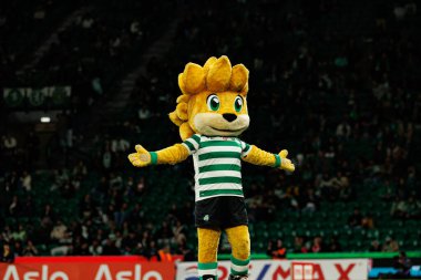 Liga Portekiz maçı sırasında Estadio Jose Alvalade 'deki AVS Futebol SAD (Maciej Rogowski / Ball Raw Images) takımları arasında görüldü.)