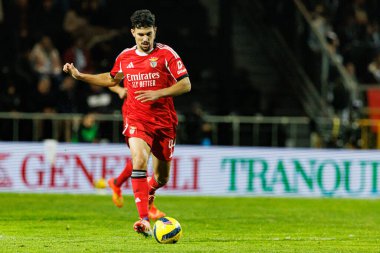 Taca de Portugal maçında Estadio Sao Luis 'te SC Farense ve SL Benfica takımları arasında Tomas Araujo görüldü (Maciej Rogowski / Ball Raw Images)