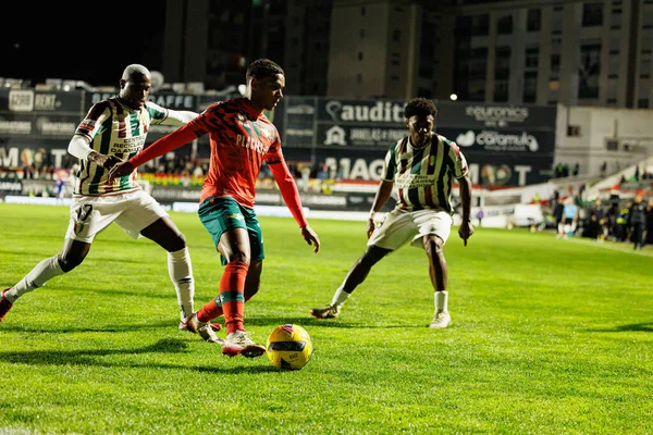 Jefferson Encada ve Landerson, Liga Portekiz maçı sırasında CF Estrela Amadora ve Moreirense FC (Maciej Rogowski / Ball Raw Images) takımları arasında görüldü.)