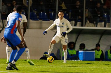 Liga Portekiz maçında FC Alverca ve FC Porto takımları arasında Pepe görüldü (Maciej Rogowski / Ball Raw Images)