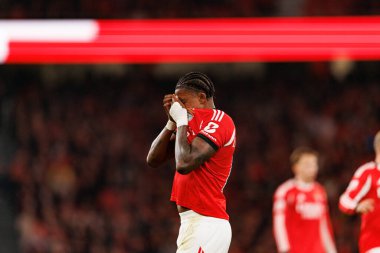 SL Benfica ve GD Estoril Praia (Maciej Rogowski / Ball Raw Images) arasında oynanan Liga Portekiz maçında Sidny Lopes görüldü)