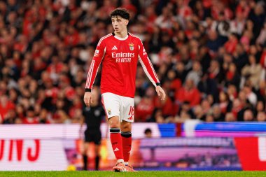 SL Benfica ve GD Estoril Praia (Maciej Rogowski / Ball Raw Images) arasında oynanan Liga Portekiz maçı sırasında Manu Silva görüldü)