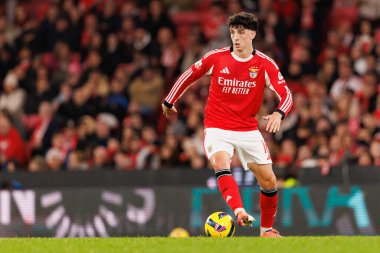 SL Benfica ve GD Estoril Praia (Maciej Rogowski / Ball Raw Images) arasında oynanan Liga Portekiz maçı sırasında Manu Silva görüldü)