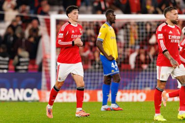 SL Benfica ve GD Estoril Praia (Maciej Rogowski / Ball Raw Images) arasında oynanan Liga Portekiz maçı sırasında Manu Silva görüldü)