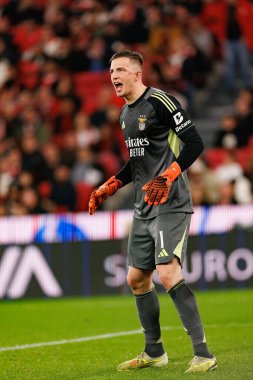 SL Benfica ve GD Estoril Praia (Maciej Rogowski / Ball Raw Images) arasında oynanan Liga Portekiz maçında Anatoliy Trubin görüldü)