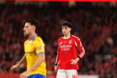 SL Benfica ve GD Estoril Praia (Maciej Rogowski / Ball Raw Images) arasında oynanan Liga Portekiz maçı sırasında Manu Silva görüldü)