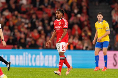 Leandro Barreiro, Liga Portekiz maçı sırasında SL Benfica ve GD Estoril Praia (Maciej Rogowski / Ball Raw Images) arasında görüldü.)