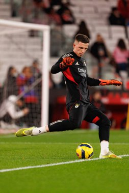 SL Benfica ve GD Estoril Praia (Maciej Rogowski / Ball Raw Images) arasında oynanan Liga Portekiz maçında Anatoliy Trubin görüldü)