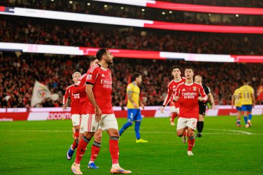 SL Benfica ve GD Estoril Praia (Maciej Rogowski / Ball Raw Images) arasında oynanan Liga Portekiz maçı sırasında görüldü.)