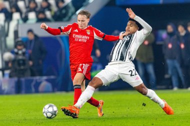 Andreas Schjelderup, Juventus FC ve SL Benfica (Maciej Rogowski / Ball Raw Images) arasındaki Şampiyonlar Ligi faz maçında görüldü.)
