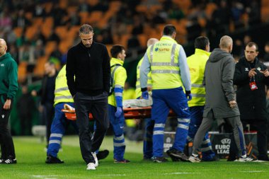 Robin Van Persie, Real Betis Balompie ve Feyenoord Rotterdam (Maciej Rogowski / Ball Raw Images) takımları arasında oynanan UEFA Avrupa Ligi maçında görüldü)