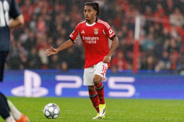 SL Benfica ve Real Madrid CF (Maciej Rogowski / Ball Raw Images) arasındaki Şampiyonlar Ligi faz maçında Leandro Barreiro görüldü)
